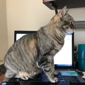 Meet your Posher, Jennifer